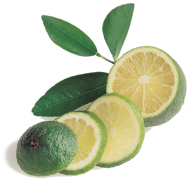 limette.jpg